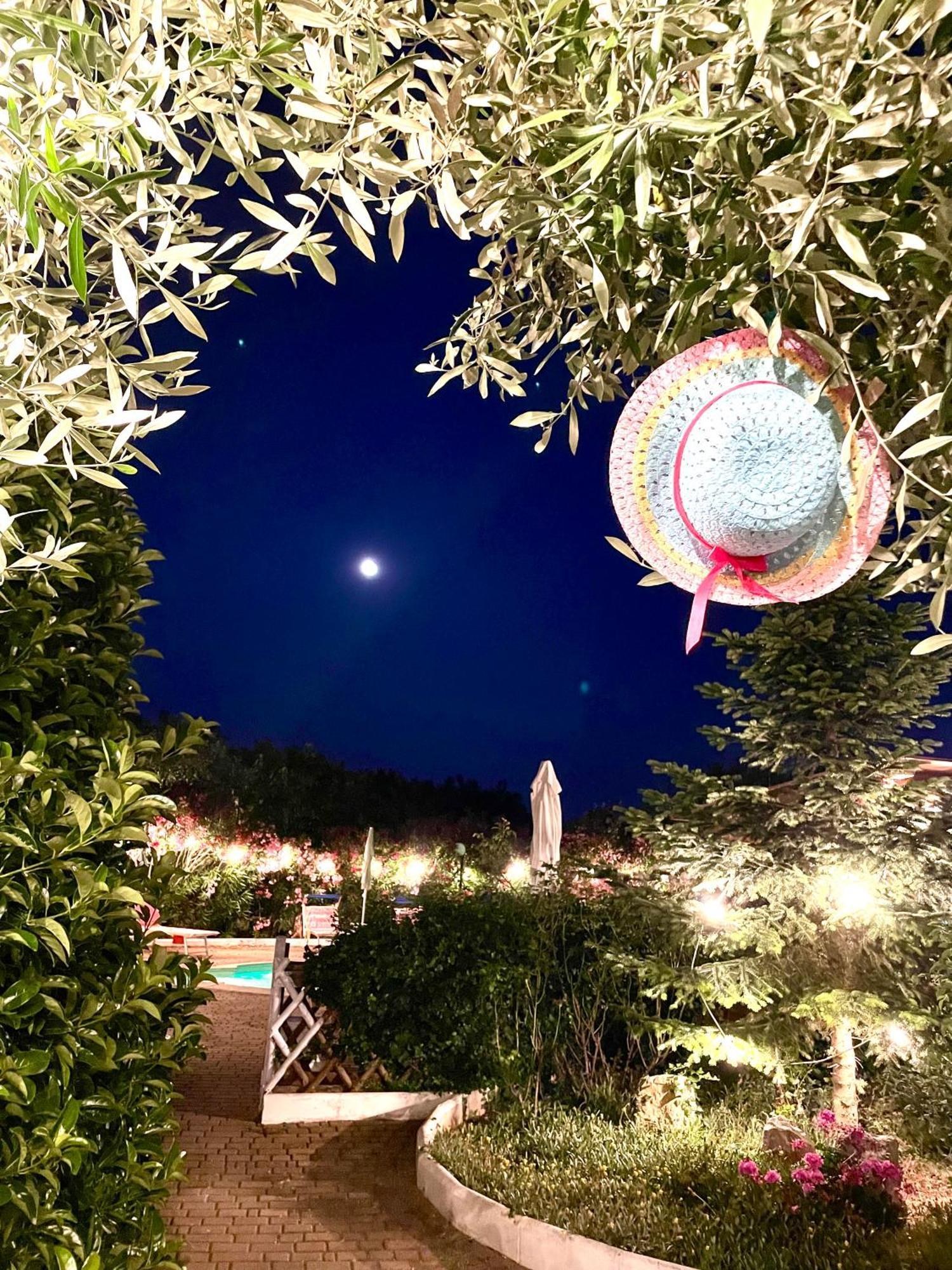Bed and Breakfast Mirella Charming Alberobello Exterior foto